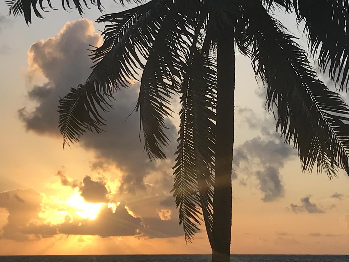 Dream Cabanas Caye Caulker Exterior foto